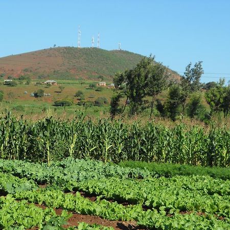 Farm Of Dreams Lodge Karatu Εξωτερικό φωτογραφία